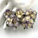 50 Small 1" Half Cream - Purple EDGE May Roses