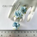 50 Size 1" White - Blue Edge Variegated Carnation
