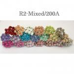  200 Mini 1/4" or 1 cm Mixed 20 Open Roses (200/A)