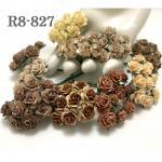  100 Size 1/2" or 1.5 cm Mixed All Brown - Earthy Roses