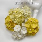 100 Size 3/4" or 2cm Mixed Yellow -White Cottage (15/147/400/401)