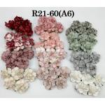  60 Medium 1.5" Mixed 12 Pantone Roses (60-A6)