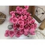  35 Large Orchid SALE - PINK color (Only 1 Set Available)
