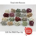  200 Assortment 4 Mini - Small Cottage and Open Roses( A9)