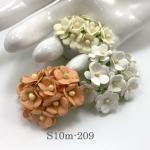   100 Size 5/8" or 1.5 cm - Small Achillea Cottage - 3 Mixed (15/50/147)