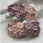  100 Size 5/8" or 1.5 cm - Small Achillea Cottage - 2 Mixed (2/188)