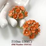  100 Size 5/8" or 1.5 cm - Small Achillea Cottage - Pale Peach / Orange Center