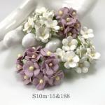  100 Size 5/8" or 1.5 cm - Small Achillea Cottage - White / Lilac