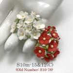 100 Size 5/8" or 1.5 cm - Small Achillea Cottage Mixed Red -White