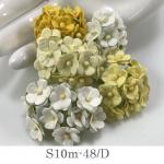 100 Size 5/8" or 1.5 cm - Small Mixed Yellow / White D (15/147/400/401)