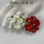 Size 3/4" or 2cm Large Achillea Cottage - RED & WHITE (Pre-order)