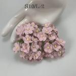 Size 3/4" or 2cm Large Achillea Cottage - Soft Pink (Pre-order)
