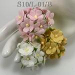   100 Size 3/4" or 2cm Large Achillea- Mixed (Pre-order-2/ 15/147)