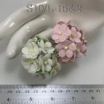   100 Size 3/4" or 2cm Large Achillea- White / Soft Pink (Pre-order)