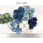 Medium May Roses (1-1/2"or3.75cm) Mixed All Boy Blue Flowers