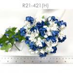 Medium May Roses (1-1/2"or3.75cm) Half White - Blue Flowers