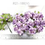 Medium May Roses (1-1/2"or3.75cm) White - SOFT Purple EDGE Flowers