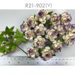 Medium May Roses (1-1/2"or3.75cm) Cream - Purple EDGE Flowers