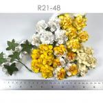Medium May Roses (1-1/2"or3.75cm) Mixed All Yellow Flowers