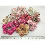 Large 2" or 5 cm - Mixed 10 Pink Tone Tea Roses (A1)