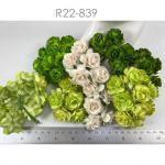  50 Puffy Roses (1-1/4or3cm) Mixed All Green - White flowers