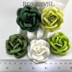 20 Romantica Roses (2 or 2.5cm) Mixed Solid Green - White (15/158/161/162/163)