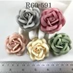  20 Romantica Roses (2or2.5cm) Mixed (121/122/153/167/726)