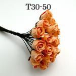 T30 - 50 (25 Pcs)     25 Solid Peach Semi Open Rose Buds
