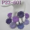	P23 - 601     500 Mixed Purple Medium Daisy Flowers