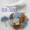 50 Mixed Earthy Brown Blue Color Cherry Blossoms