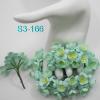 S3 - 166     50 Mint Green Cherry Blossoms 