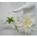 Large Gardenia White Paper flowers from supply Thailand