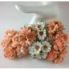 Mixed Peach White Daisy Roses Paper Flowers