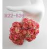 50 Puffy Roses (1-1/4or3cm) Cream - Pink Edge Flowers
