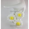 100 White Full Bloomed Daisy Paper Flowers 