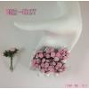 100 Mini 1/4" or 1cm White - Pink EDGE Open Roses