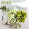 25 Mixed Green Curly Paper flowers