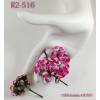 100 Mini 1/4" or 1cm White - HOT Pink EDGE Open Roses