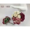 25 Mixed Burgundy & Cream Curly Paper flowers