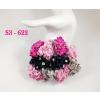 50 Mixed Pink Black Grey Color Cherry Blossoms