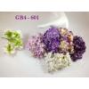25 Mixed Purple Big Gardenias