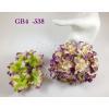 25 Big Purple Cream Variegated Gardenias