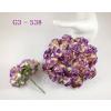 Purple Cream Variegated Curly Roses Thailand