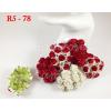Mixed Red and White Mulberry Paper Flowers