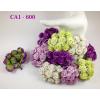 50 Mixed Purple & Green Carnation 