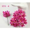 50 Hot Pink Lily Paper Flowers