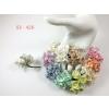 50 Mixed Pastel Cherry Blossoms paper flowers