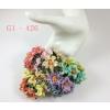25 Rainbow Pastel Small Curly Paper Flowers