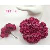 Hot Pink Color Paper Roses Iamroses Thailand Handmade