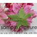 Soft Pink Large Curly Full Bloomed Daisy Paper Flowers